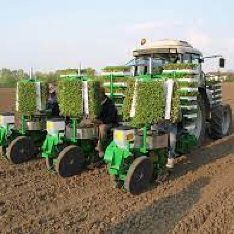 Farm transplanter