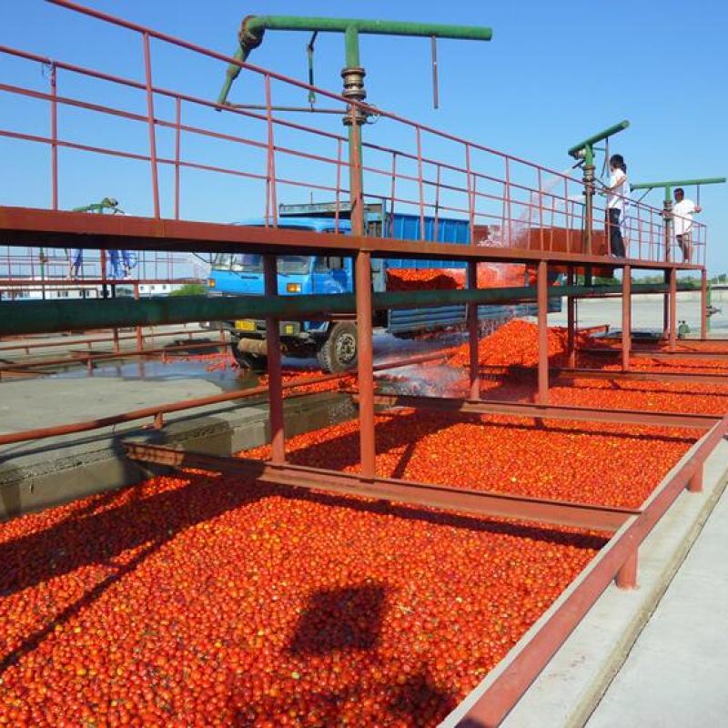 Fruit and vegetable juice processing line